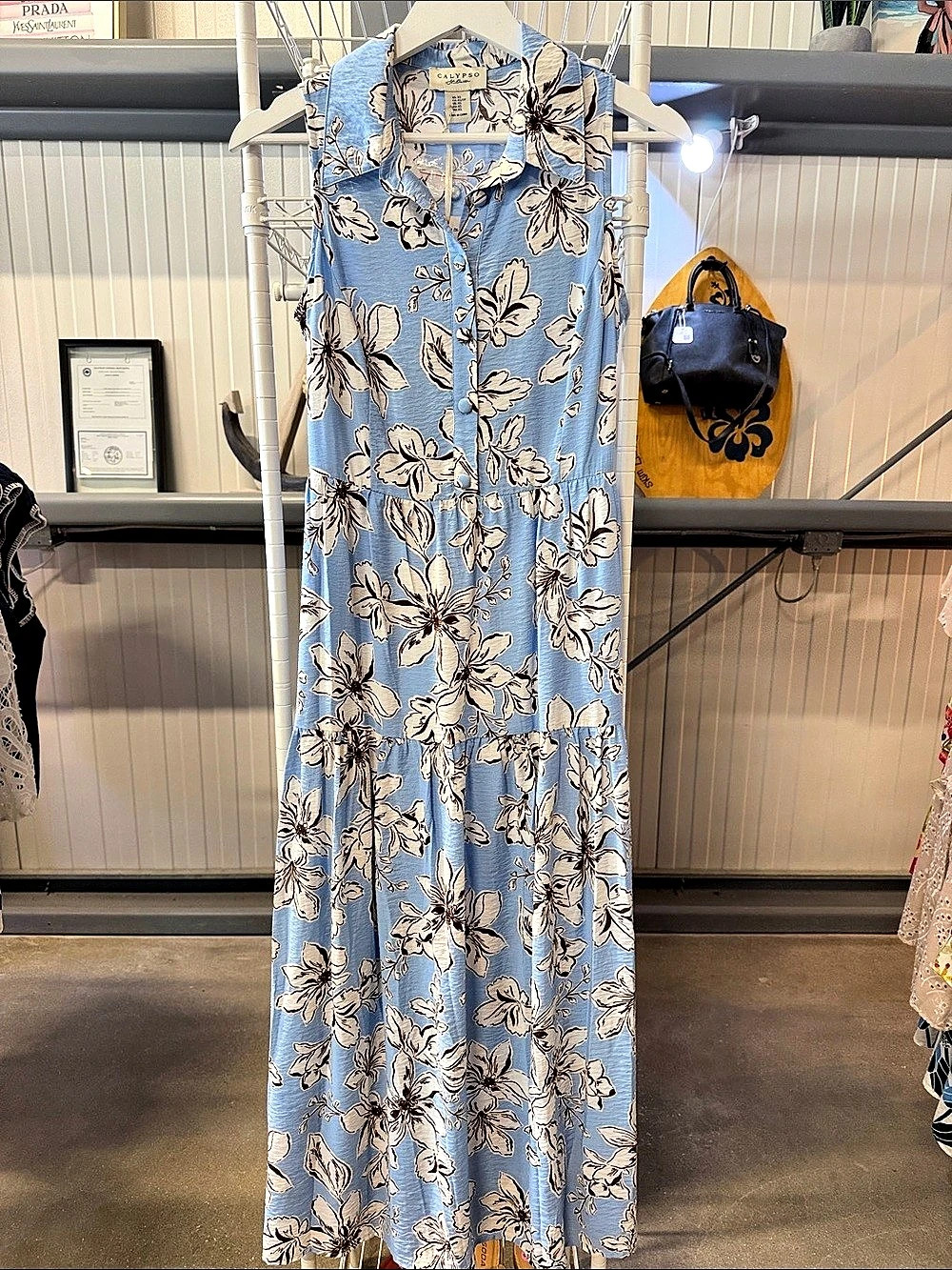Calypso Floral Maxi Dress in Blue & White Size